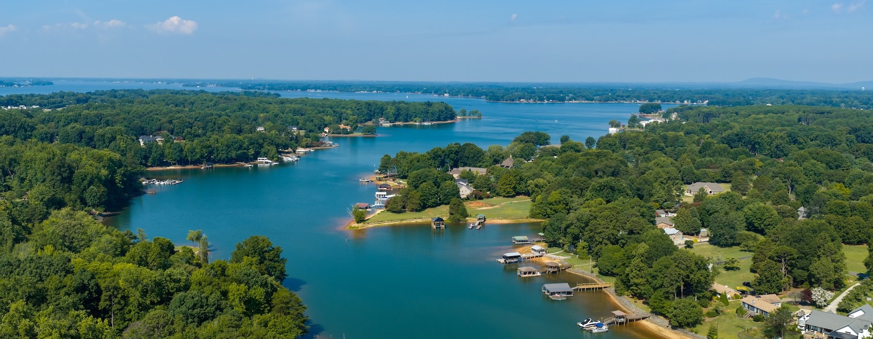 an aerial view of a river and trees